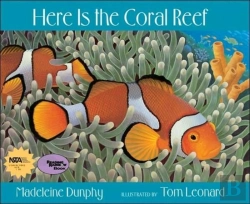 Bertrand.pt - Here Is The Coral Reef