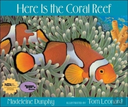 Bertrand.pt - Here Is The Coral Reef