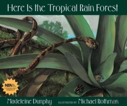 Bertrand.pt - Here Is The Tropical Rain Forest
