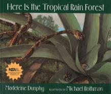 Here Is The Tropical Rain Forest