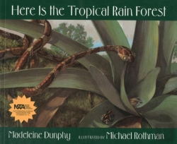 Bertrand.pt - Here Is The Tropical Rain Forest