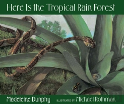 Bertrand.pt - Here Is The Tropical Rain Forest