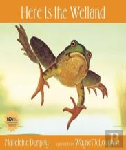 Here Is The Wetland