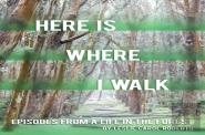Here Is Where I Walk