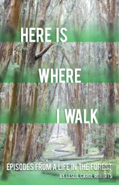 Here Is Where I Walk