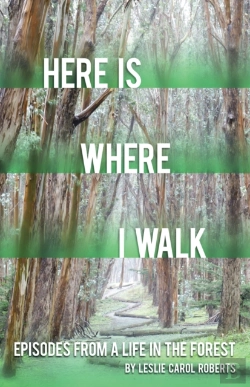 Bertrand.pt - Here Is Where I Walk
