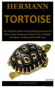Hermann Tortoise