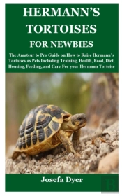 Hermann'S Tortoises For Newbies