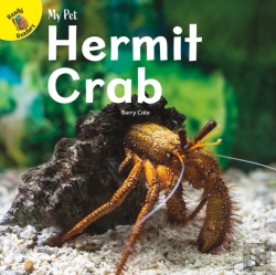 Bertrand.pt - Hermit Crab