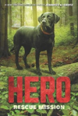 Hero Dog Mid Grade Novel #3