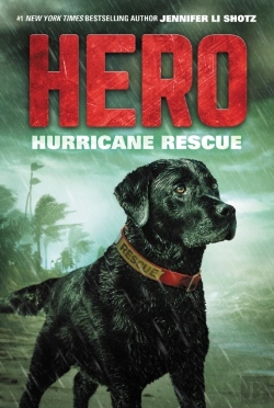 Bertrand.pt - Hero: Hurricane Rescue