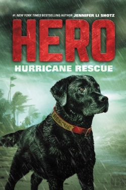 Bertrand.pt - Hero: Hurricane Rescue