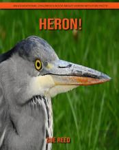 Heron! An Educational Children'S Book About Heron With Fun Facts