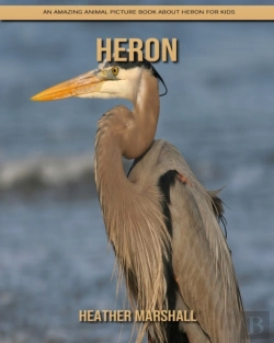 Bertrand.pt - Heron