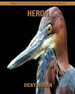 Bertrand.pt - Heron