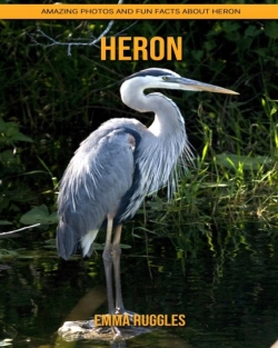 Bertrand.pt - Heron