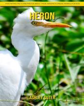 Heron