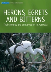 Herons, Egrets And Bitterns