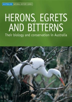 Bertrand.pt - Herons, Egrets And Bitterns