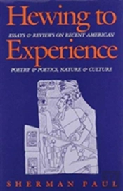Hewing To Experience