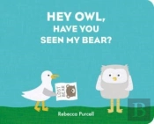 Hey Owl, Have You Seen My Bear?
