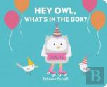 Hey Owl, What'S In The Box?