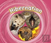 Hibernation