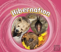 Bertrand.pt - Hibernation