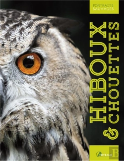 Bertrand.pt - Hiboux & Chouettes