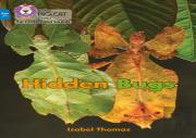 Hidden Bugs