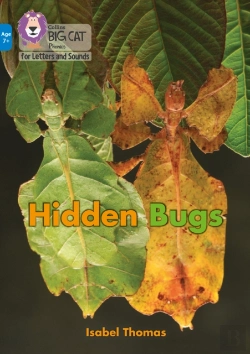 Bertrand.pt - Hidden Bugs