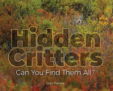 Hidden Critters