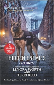 Hidden Enemies