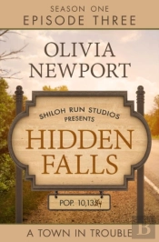 Hidden Falls: A Town In Trouble - Episode 3