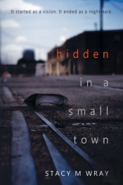 Hidden In A Small Town