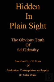 Hidden In Plain Sight
