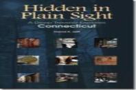 Hidden In Plain Sight