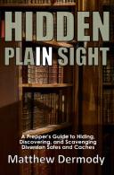 Hidden In Plain Sight