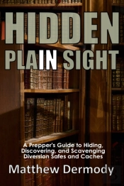 Hidden In Plain Sight