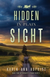 Hidden In Plain Sight