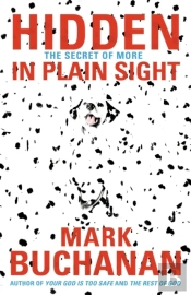 Hidden In Plain Sight