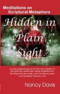Hidden In Plain Sight
