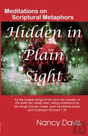 Hidden In Plain Sight