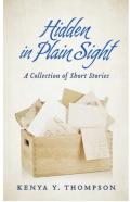 Hidden In Plain Sight