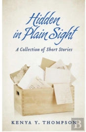 Hidden In Plain Sight