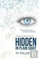 Hidden In Plain Sight