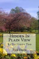 Hidden In Plain View