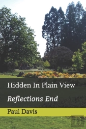 Hidden In Plain View