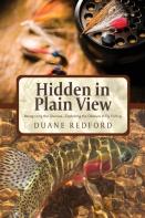 Hidden In Plain View