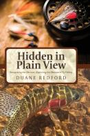 Hidden In Plain View